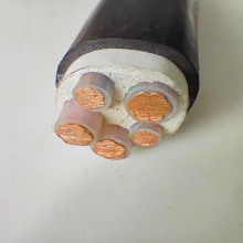 國(guó)標(biāo)銅芯W(wǎng)DZN-YJY低煙無(wú)鹵電線電纜阻燃耐火2～4芯2.5 4～240平方